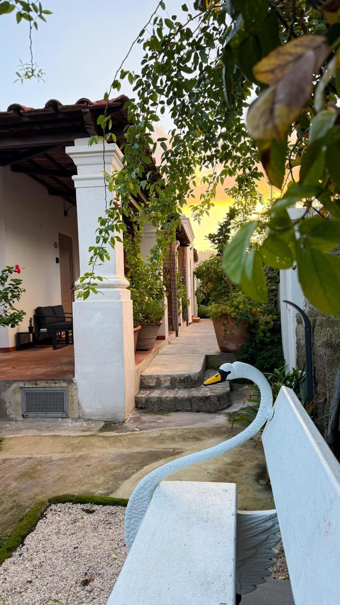 Il Cigno B&B Capri Buitenkant foto