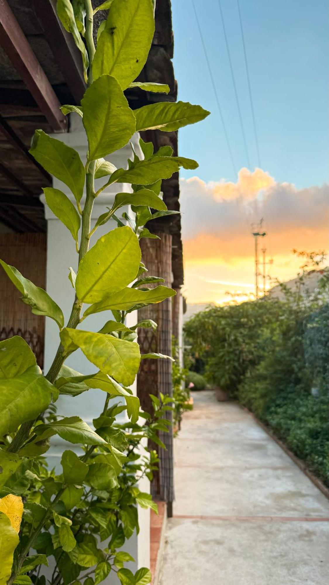 Il Cigno B&B Capri Buitenkant foto