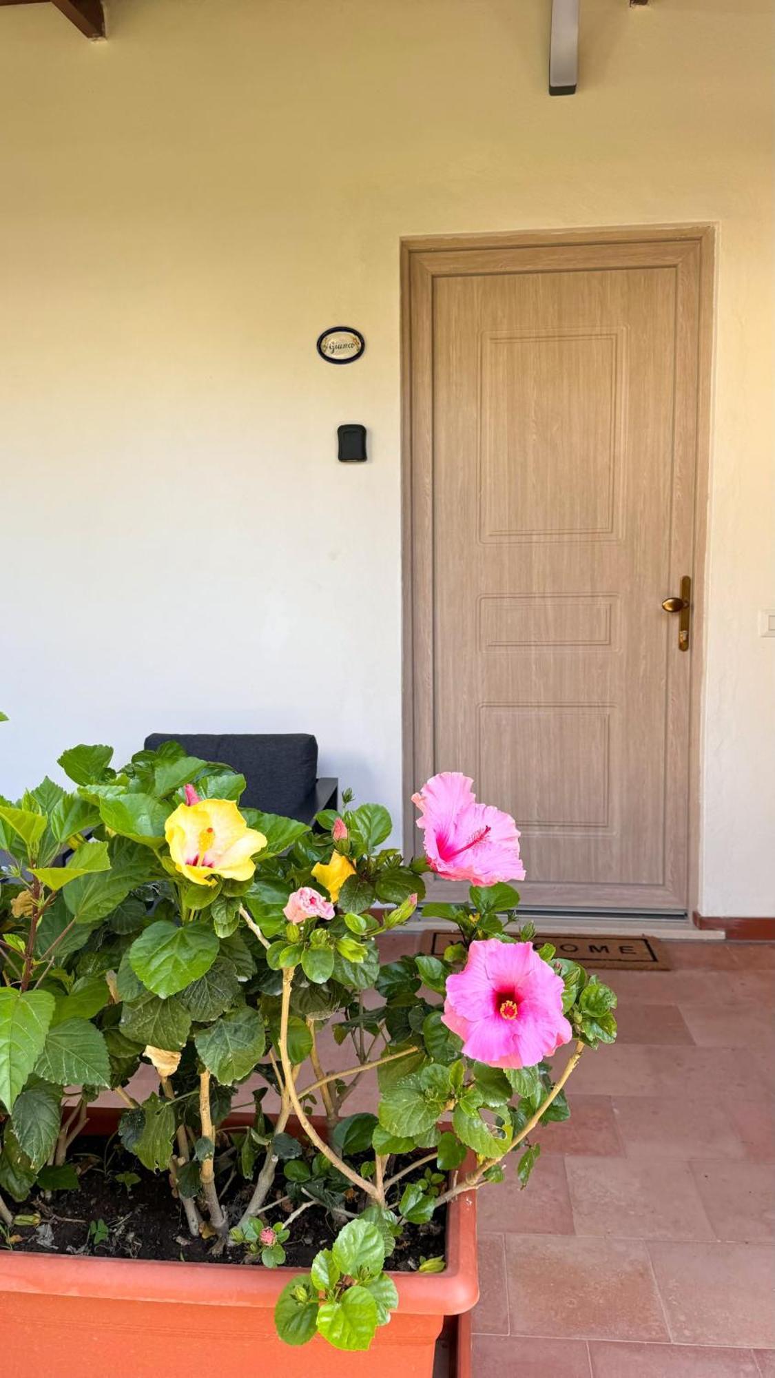 Il Cigno B&B Capri Buitenkant foto