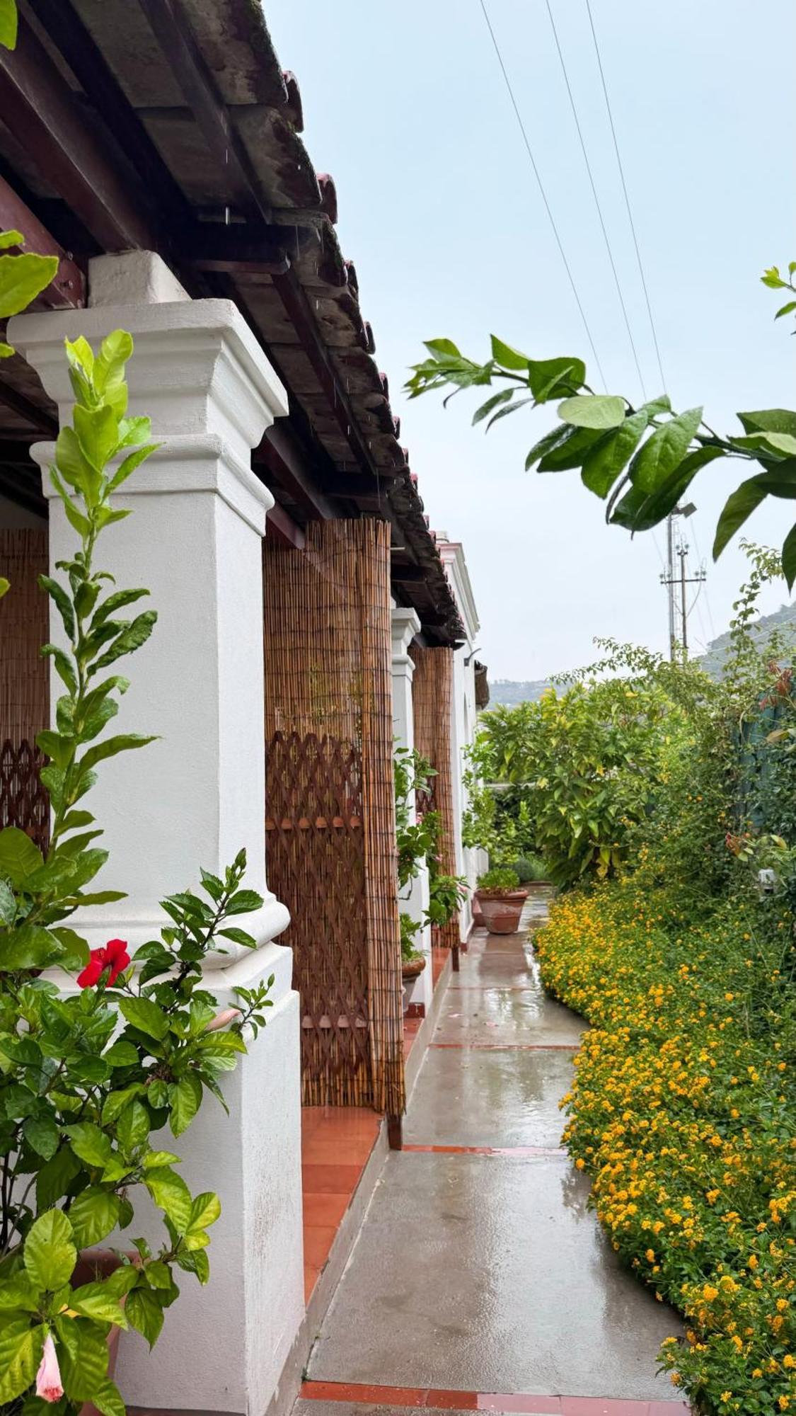 Il Cigno B&B Capri Buitenkant foto