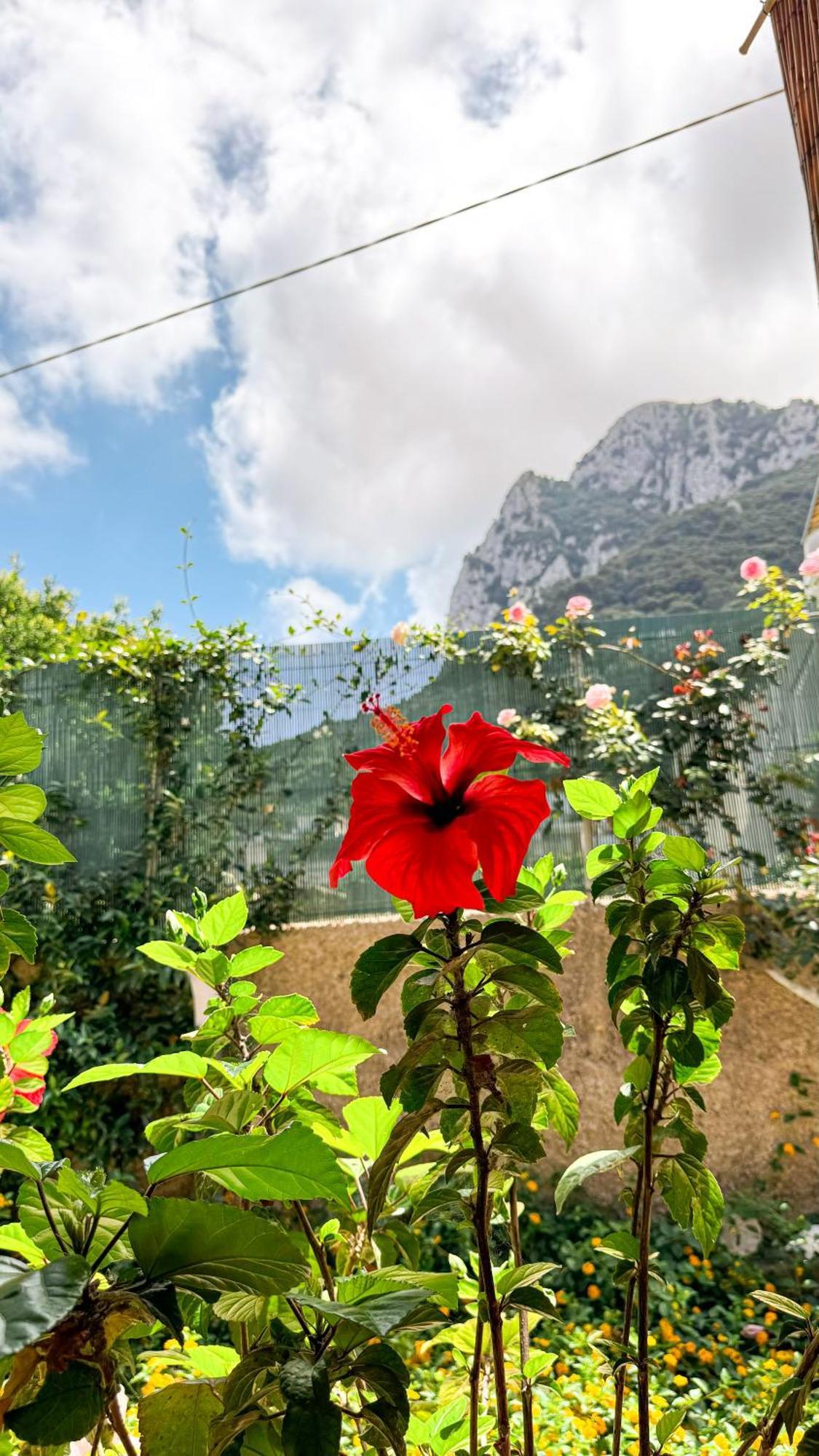 Il Cigno B&B Capri Buitenkant foto