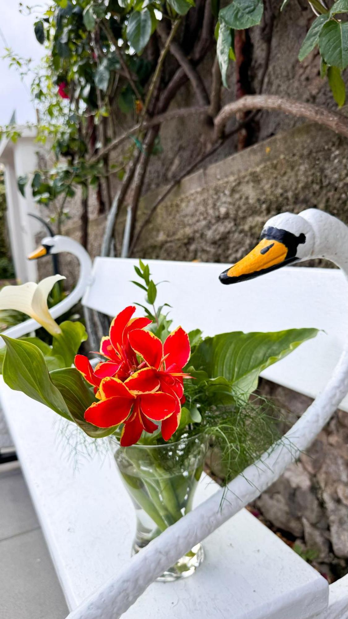 Il Cigno B&B Capri Buitenkant foto