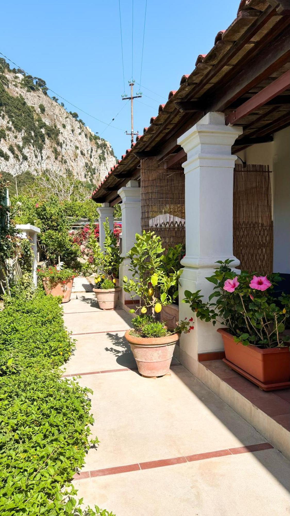 Il Cigno B&B Capri Buitenkant foto