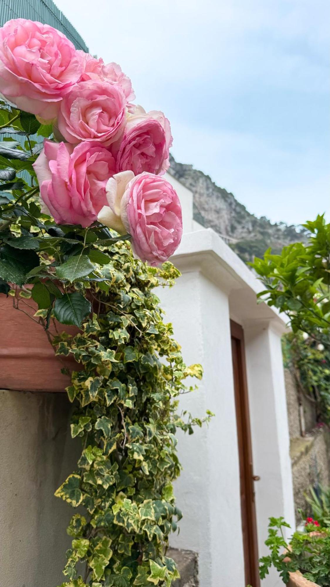 Il Cigno B&B Capri Buitenkant foto