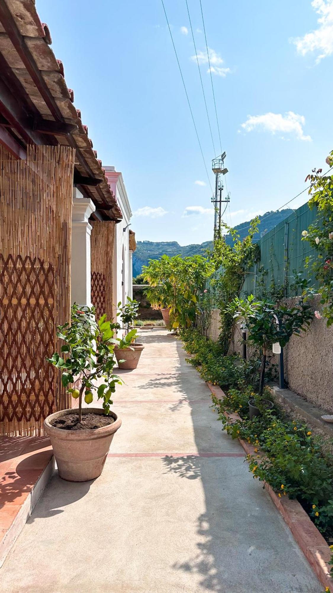Il Cigno B&B Capri Buitenkant foto